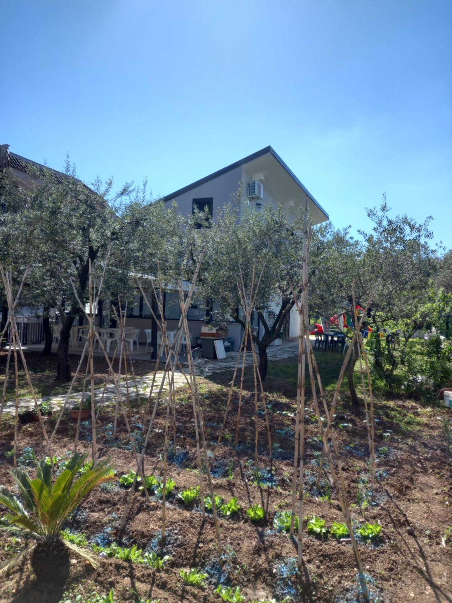 Affittacamere il Tulipano beach Formia