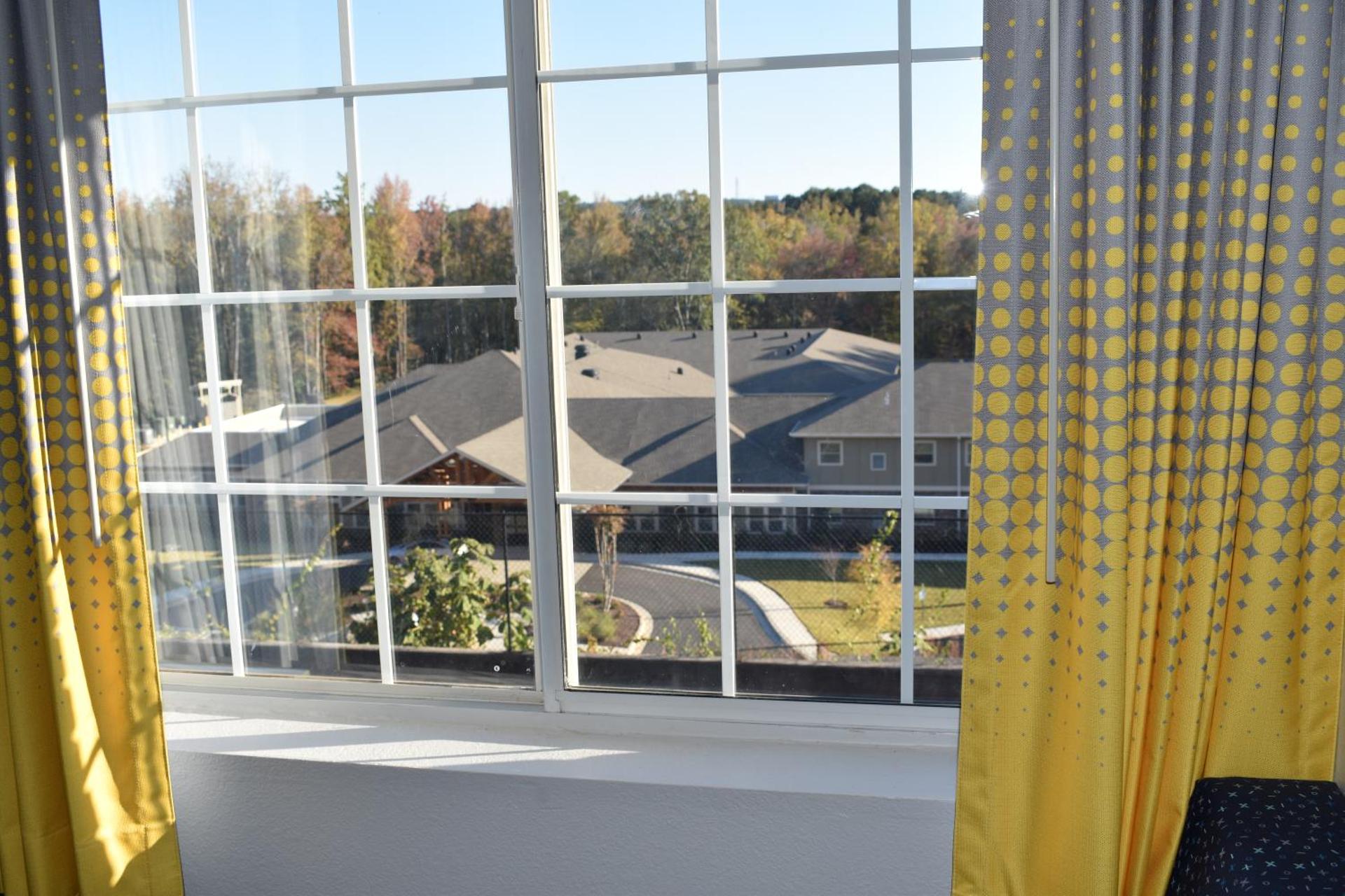 View (from property/room)