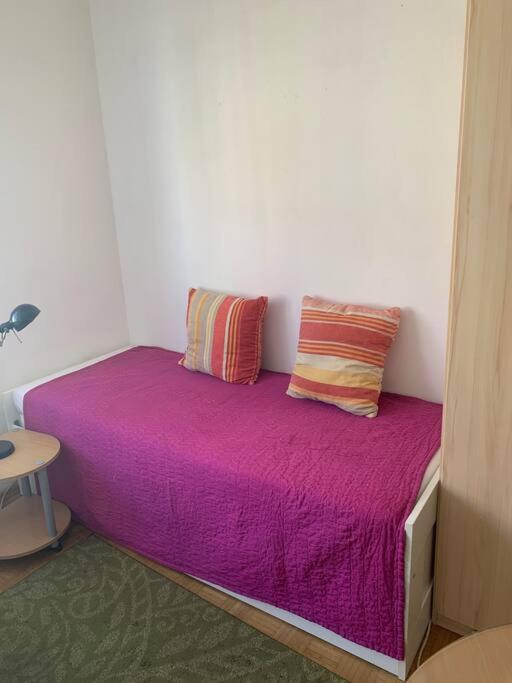 Kleine Wohnung im Zentrum Graz