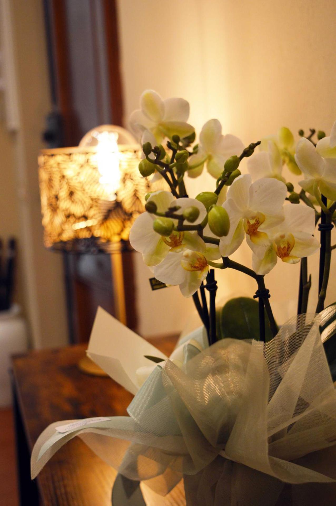 Le Case di Sonia DEL CORSO CIV 25 Fucecchio