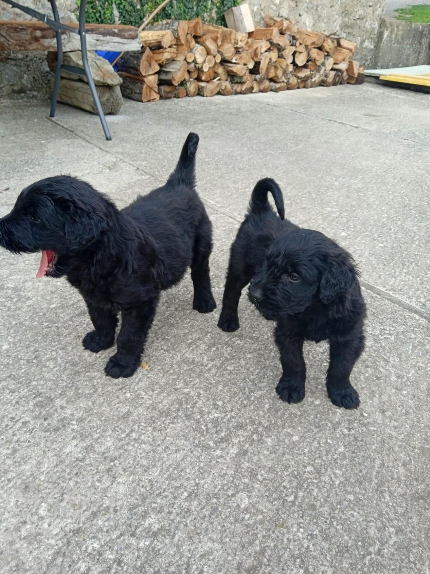 CHILL & ZEN - Caserío Itxaiz -