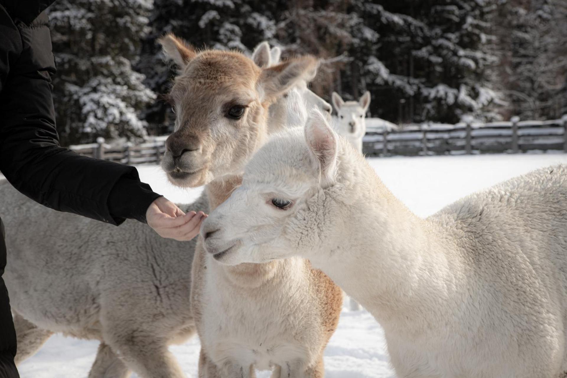 Children play ground