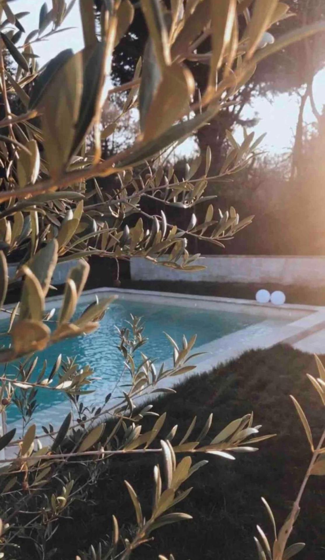 Cottage Normand avec sa grande piscine chauffée toute l année sur parc arboré et clos En plein coeur de la campagne adapté aux kids et Dog friendly