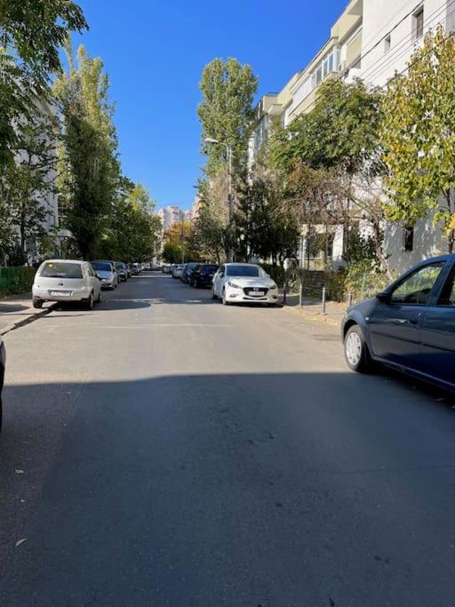 Mall Vitan studio Eveline