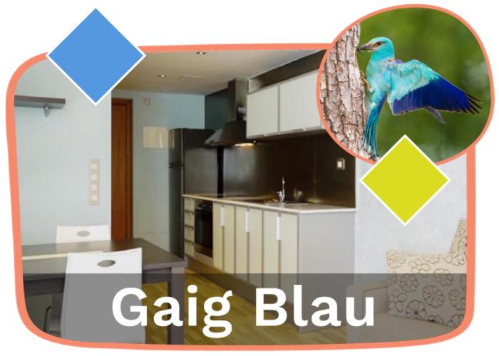 Ornis Apartments Platja