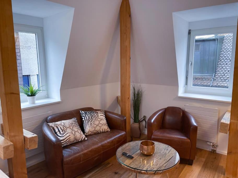 Tolles Studio im Zentrum von Rapperswil