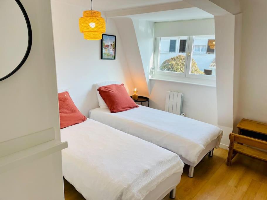 Charmante petite maison flamande