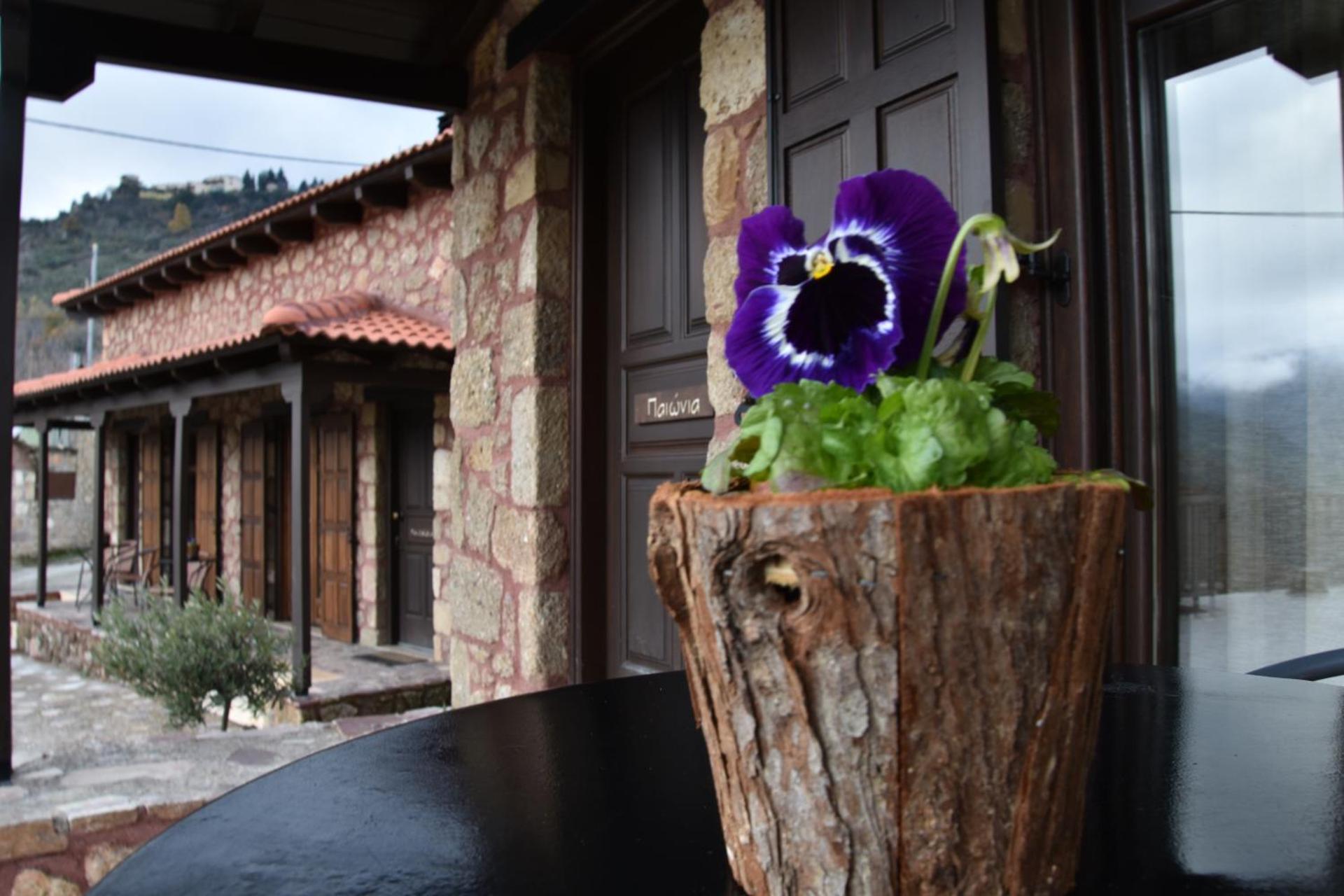 Paliokastro Guesthouse