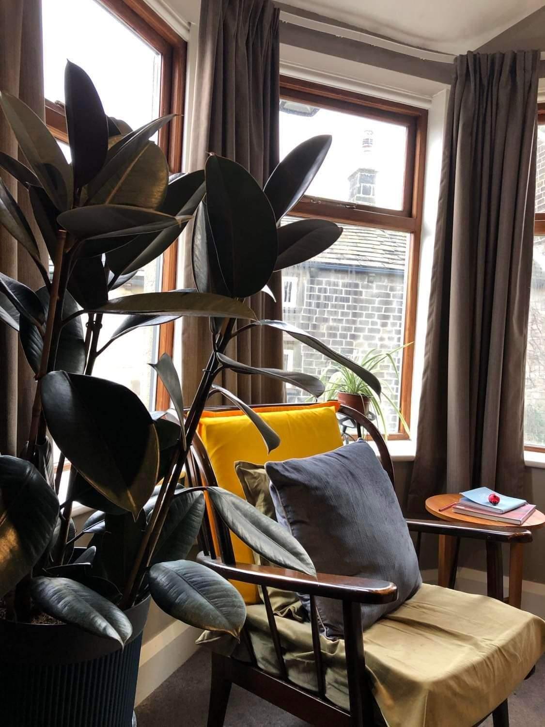 Deluxe Double Room with Shower