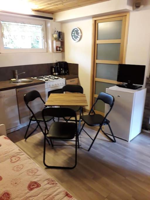 at foot of Mont Blanc studio 2 p