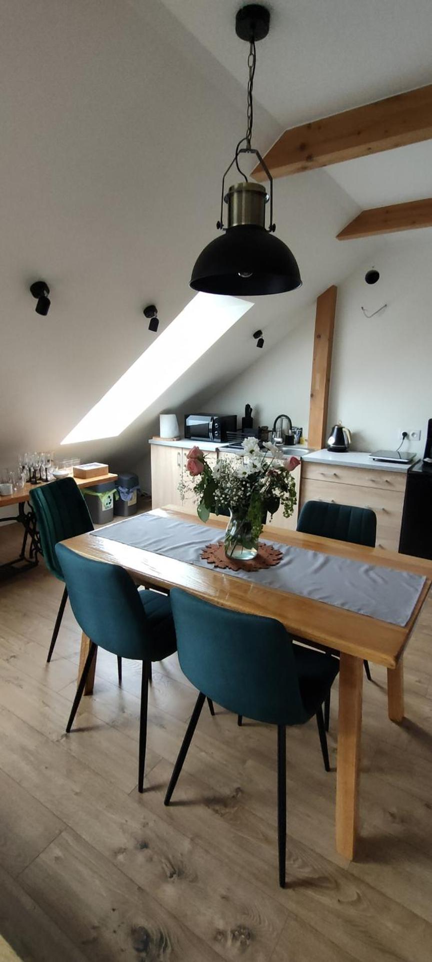 Apartament Góry Bardzkie