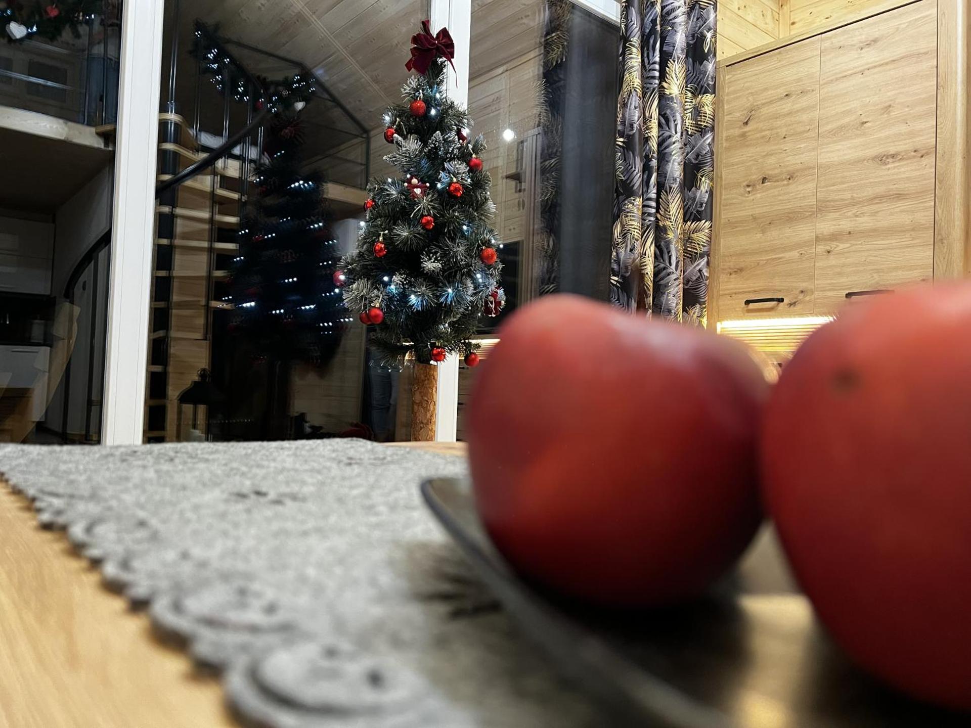 Domek Misi - Misiowa Polanka - domek z możliwością dodatkowego wynajęcia sauny