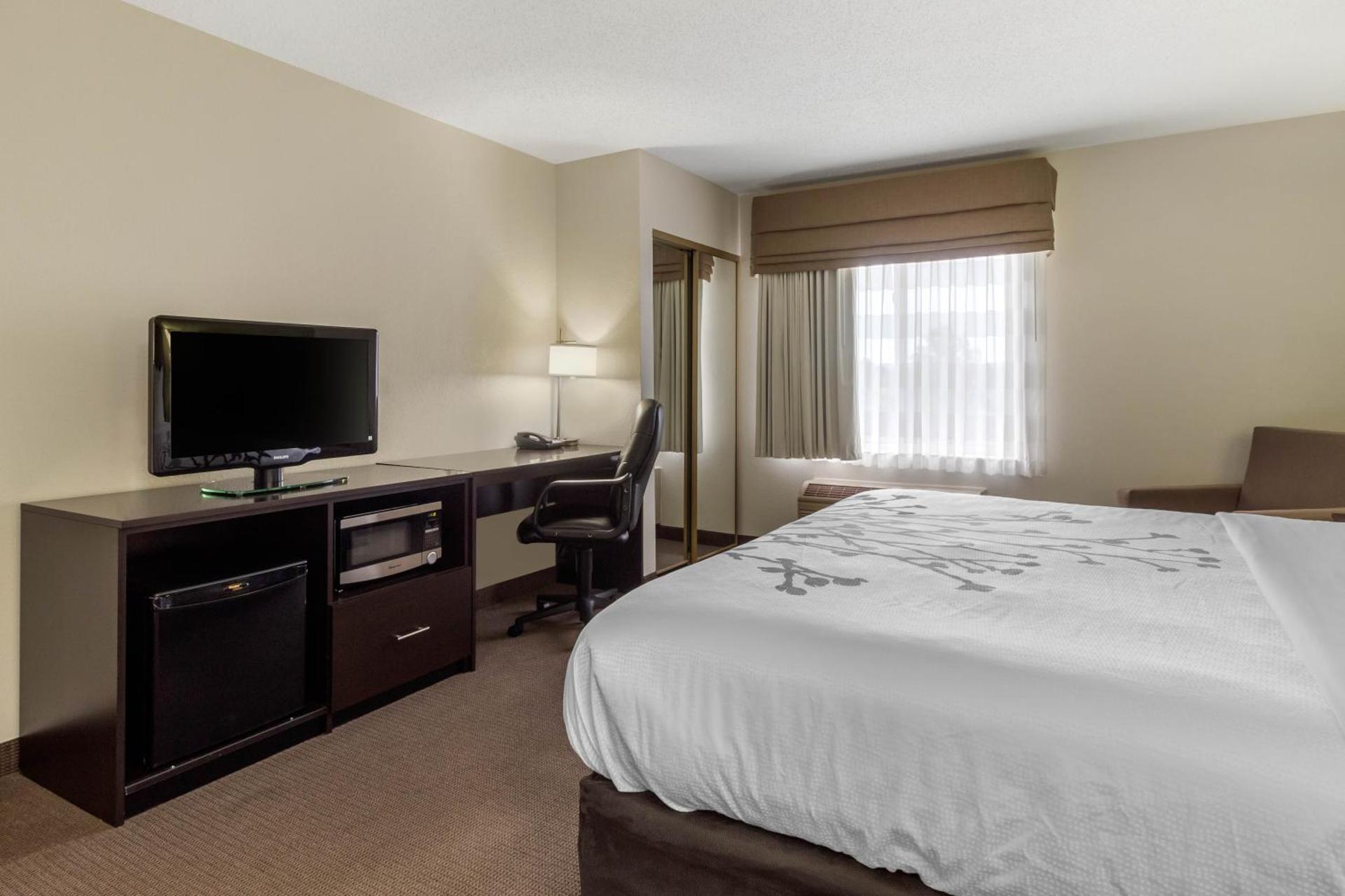 King Room - Non-Smoking