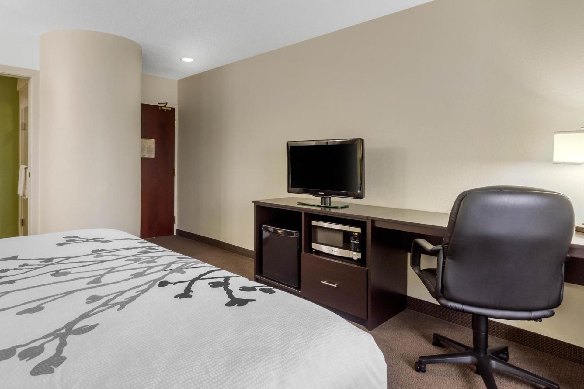 King Room - Non-Smoking