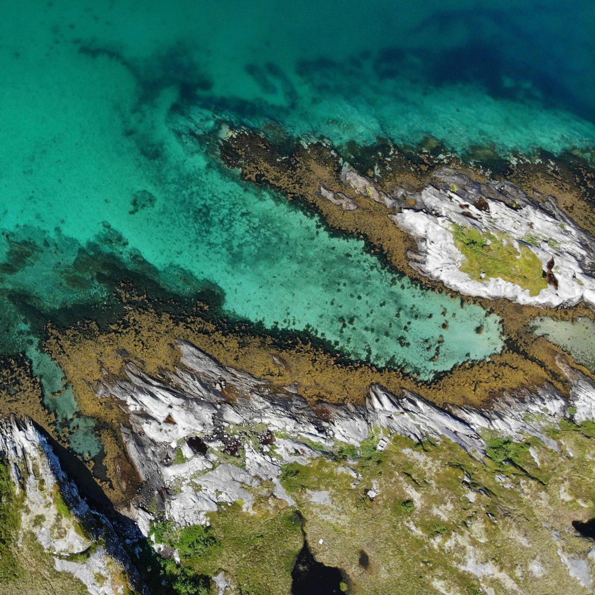 NEW! Luxury Cabin in beautiful Lofoten