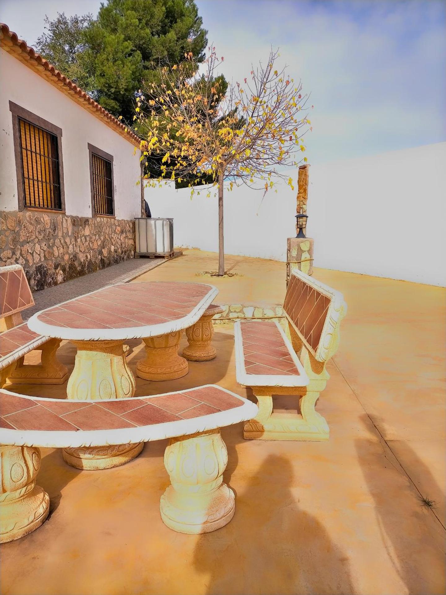 CASA RURAL LAS PALMERAS