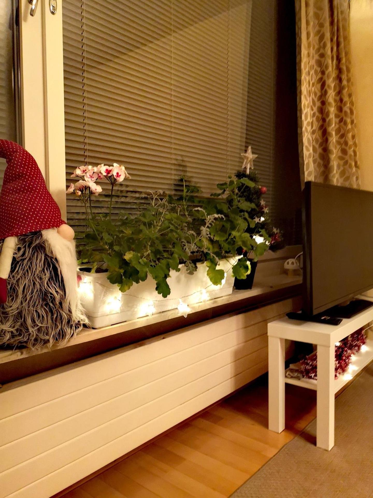 Двухкомнатные просторные апартаменты.