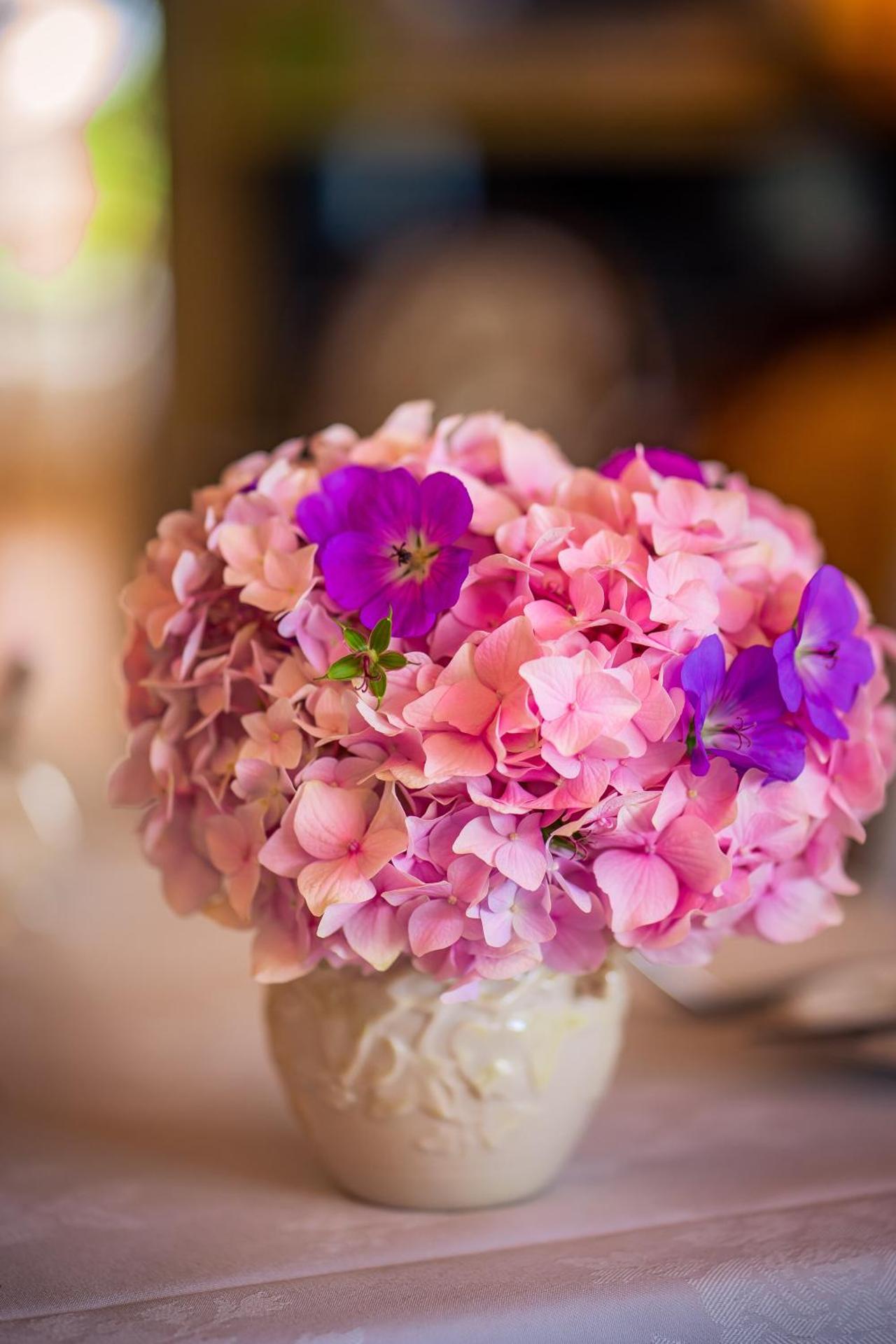 Park Lodge Accommodation