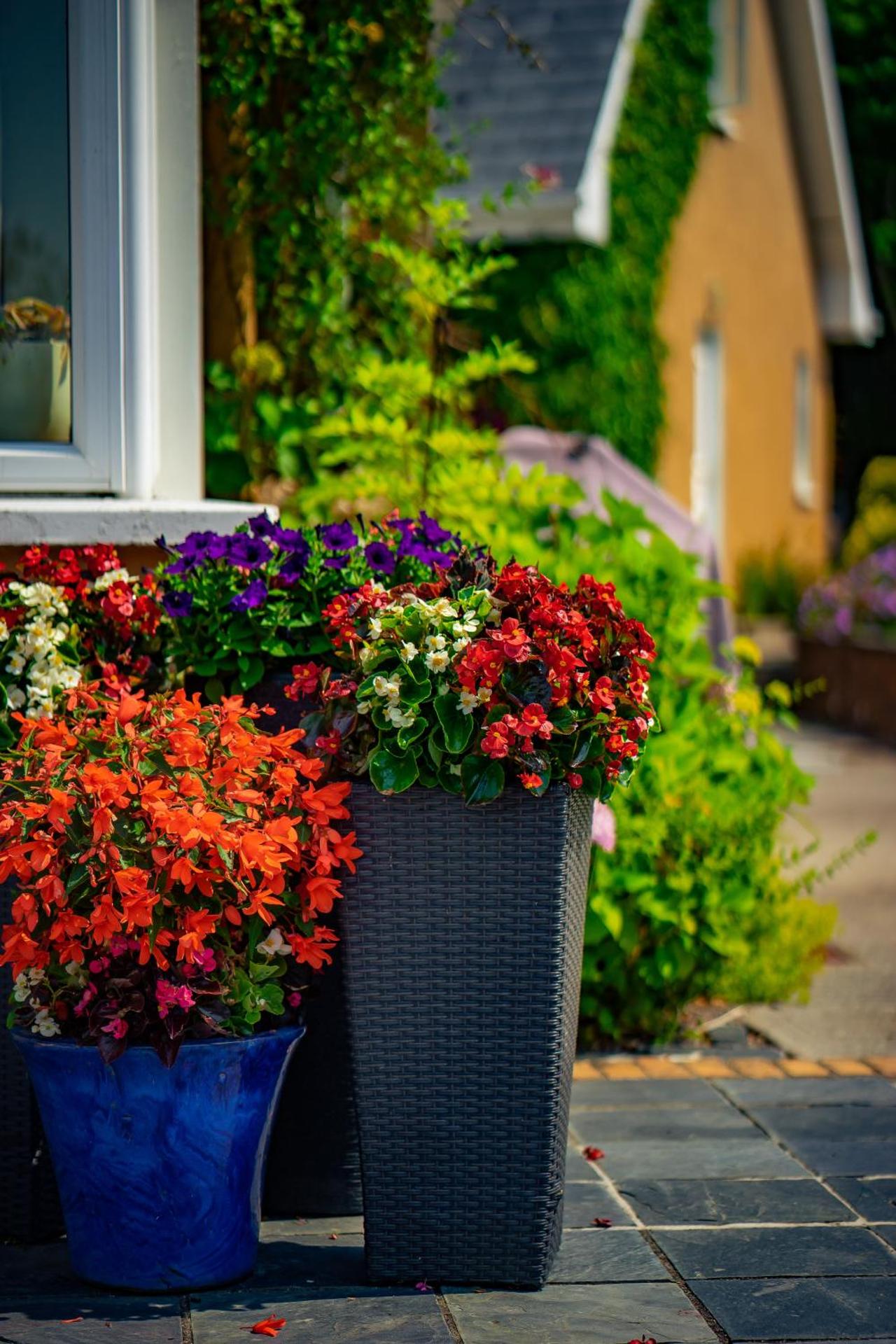 Park Lodge Accommodation