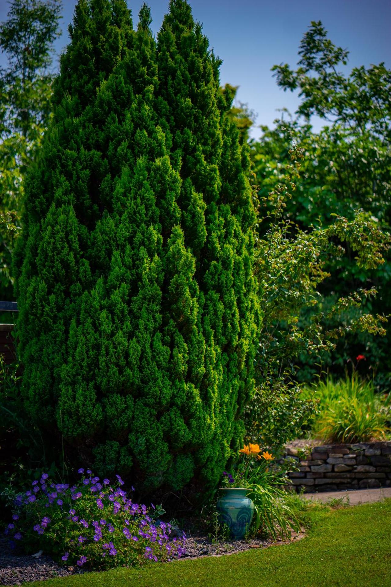 Park Lodge Accommodation