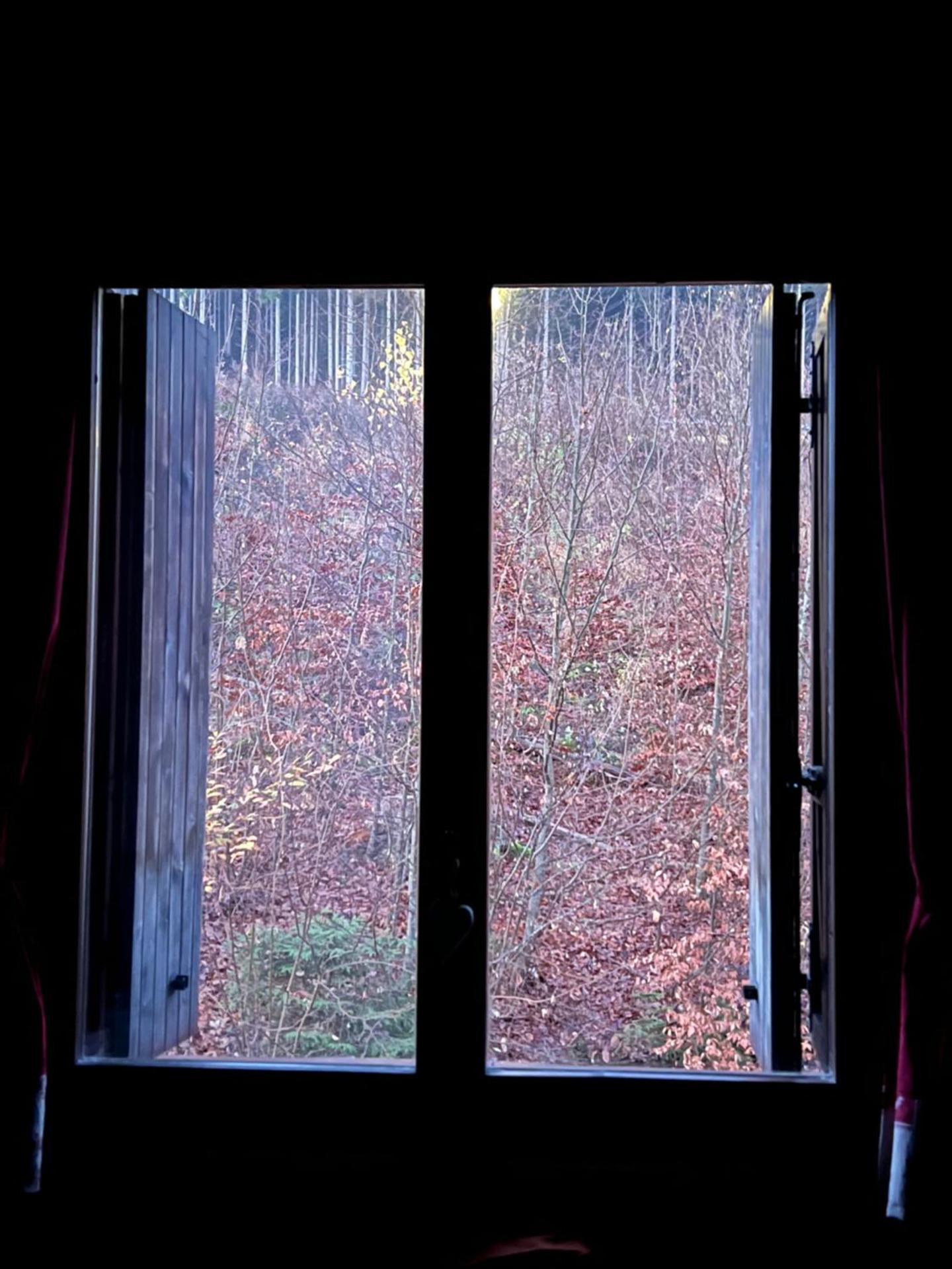 Mandi Mandi a Tarvisio