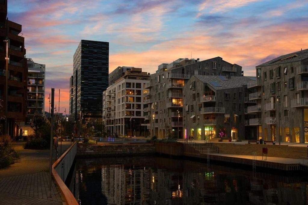 Lovely central apartment with two large bedrooms nearby Oslo Opera, vis a vis Botanical garden