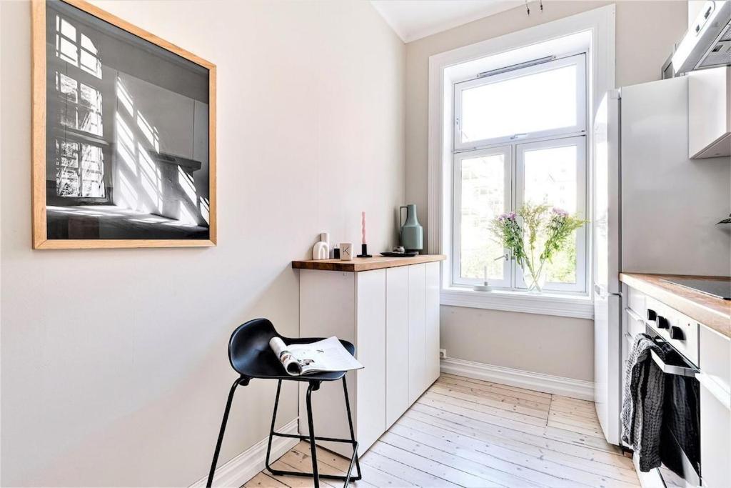 Lovely central apartment with two large bedrooms nearby Oslo Opera, vis a vis Botanical garden