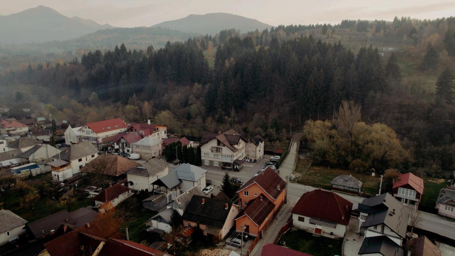 Pensiunea Lido Moisei