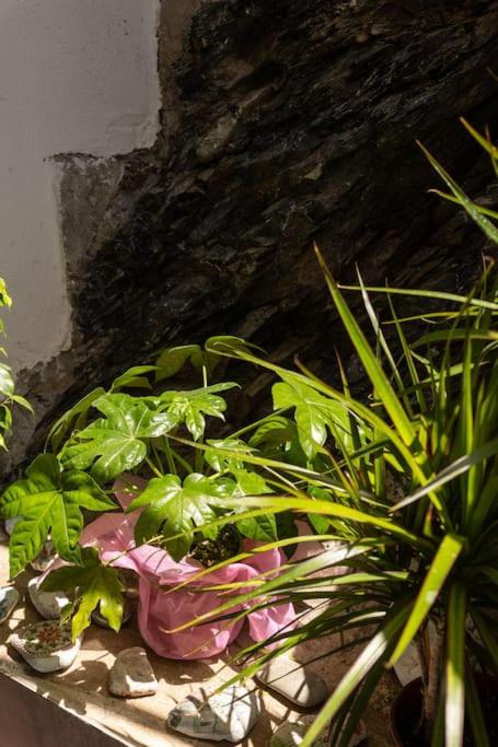 Ioannis Rooms Δωμάτια με θεα στη θαλασσα