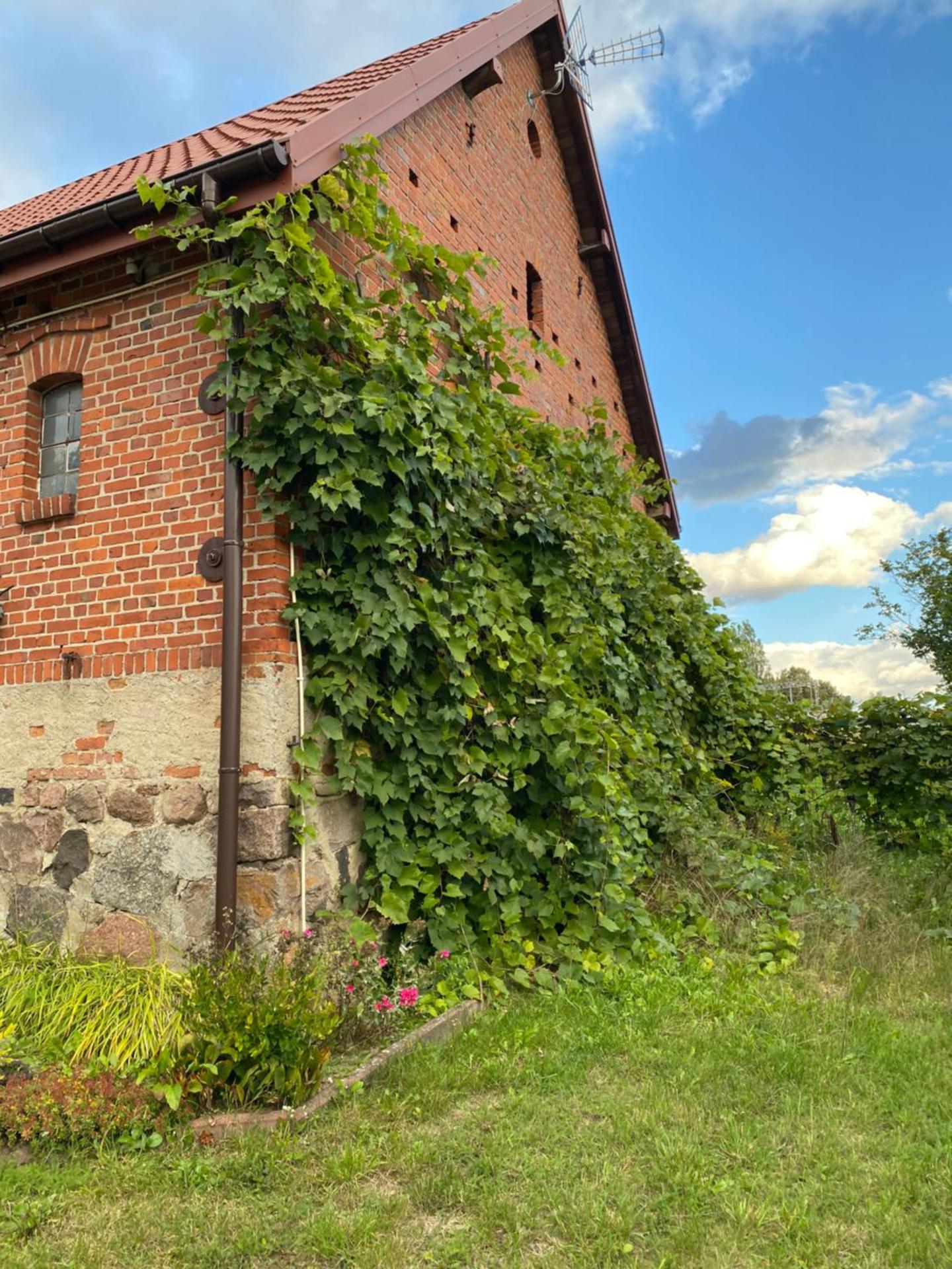 Mlyn Wodny EKO Hillar