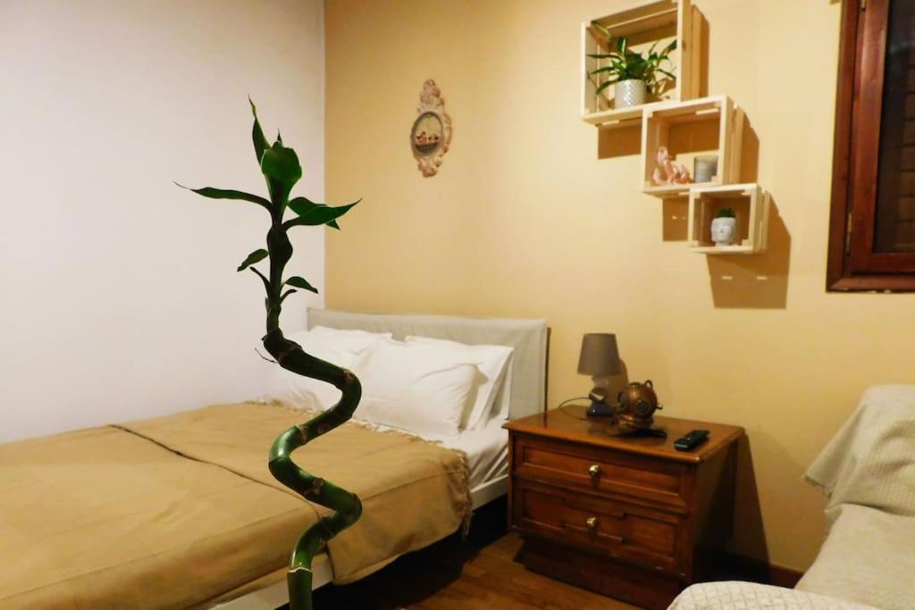 Marco Polo's Mooring Cozy Navy House