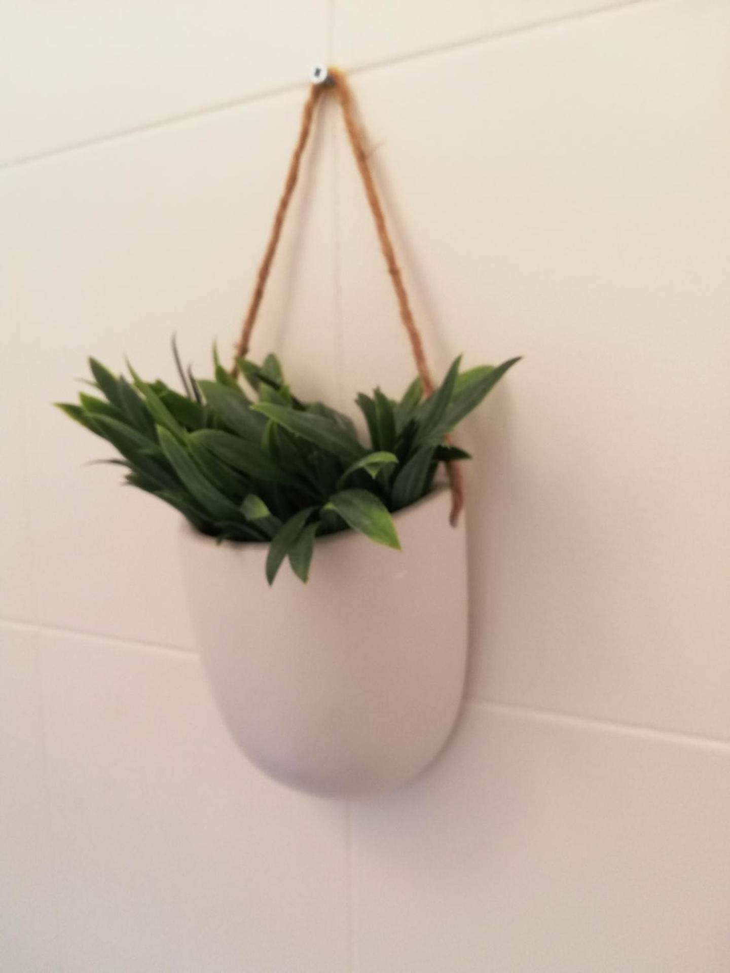 Presqu'île de Cap Coudalere avec une chambre - terrasse-aire de jeux d'enfants - Parking - piscine à partir d'avril - Terrain multisport - Terrain de pétanque