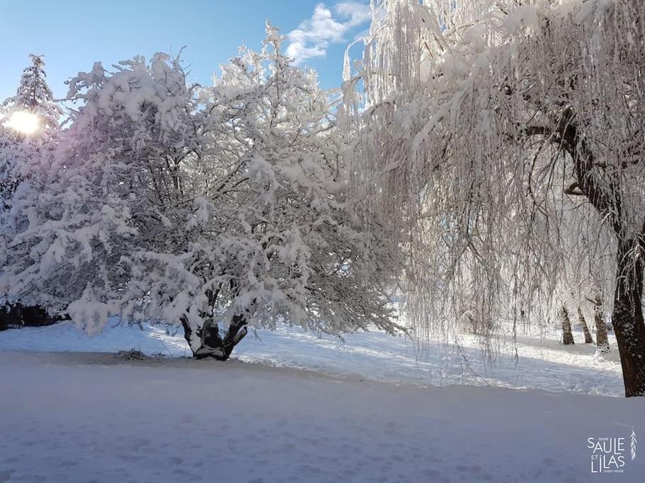 Studio cosy et fonctionnel entre Saule et Lilas