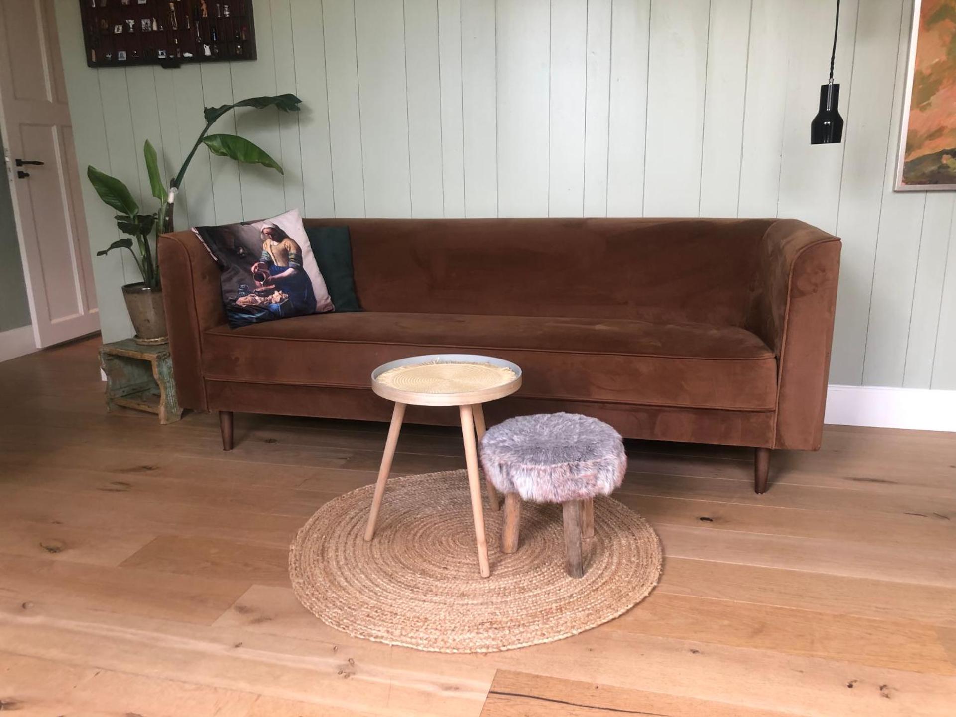 Traditional family apartment with garden at countryside Amsterdam