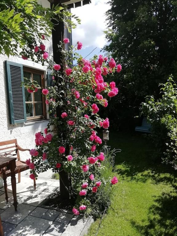 'Sissi' ein zaubehaftes Apartement im modernen Landhausstil