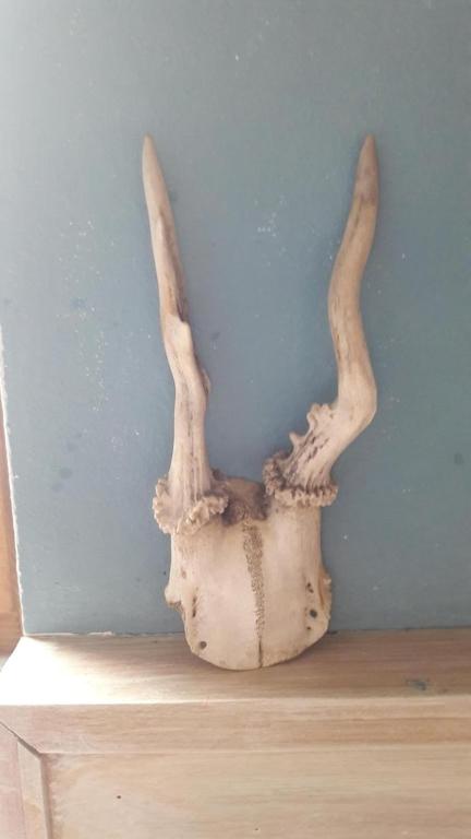 'Sissi' ein zaubehaftes Apartement im modernen Landhausstil