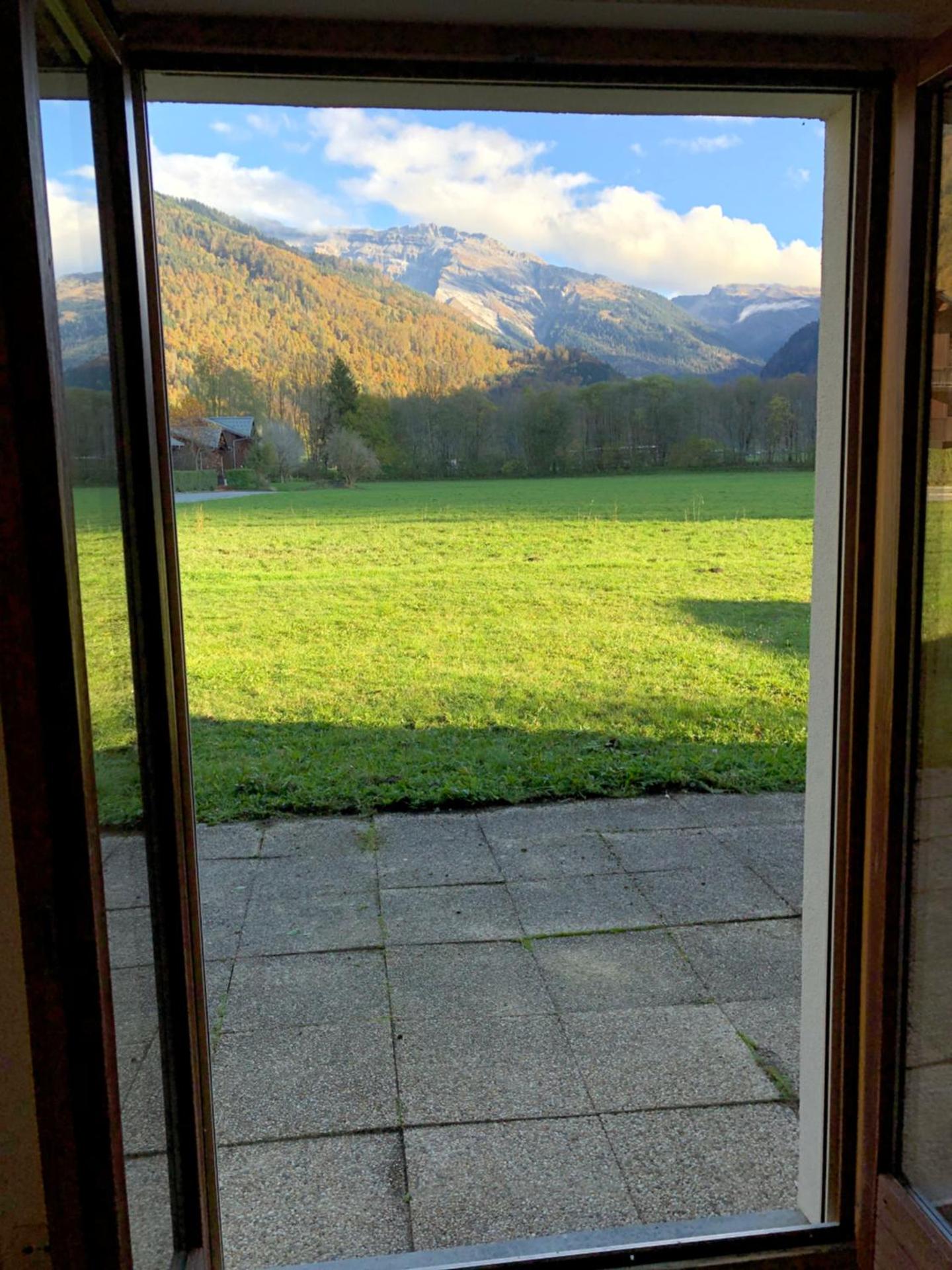 Studio - Le D2 du Grand Tetras