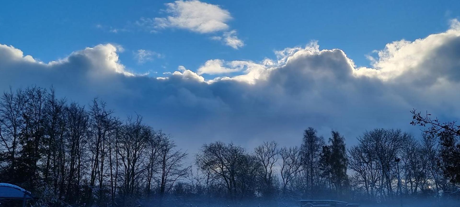 The parrot hotel, live in a rescue animal park