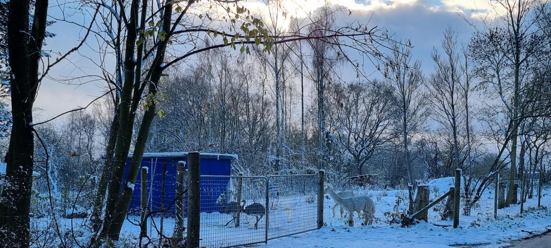 The parrot hotel, live in a rescue animal park