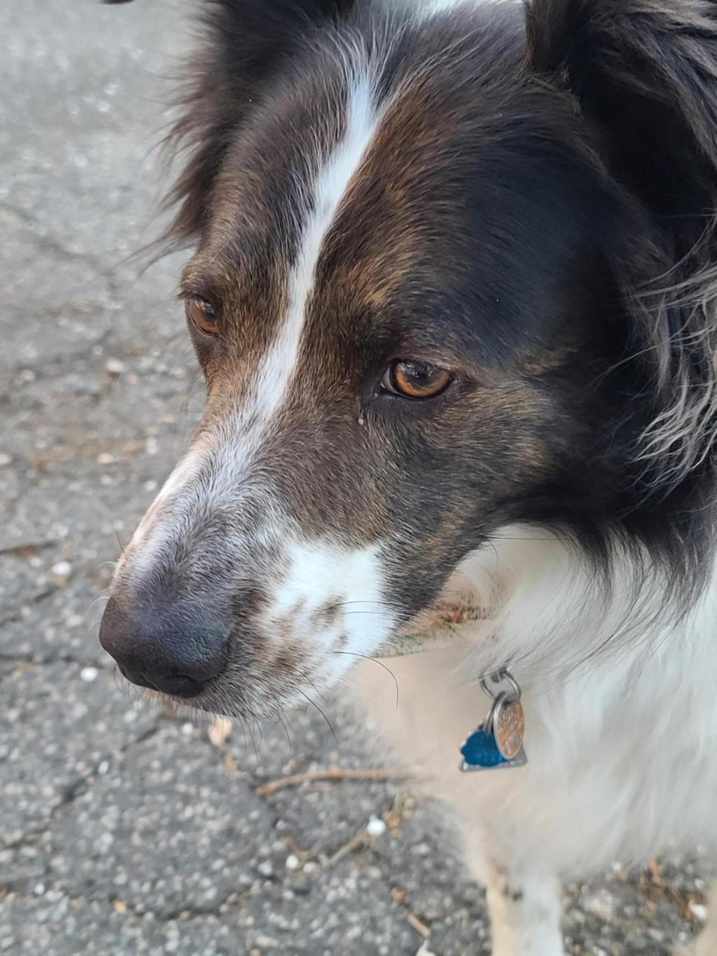 House of 1833 Bed and Breakfast