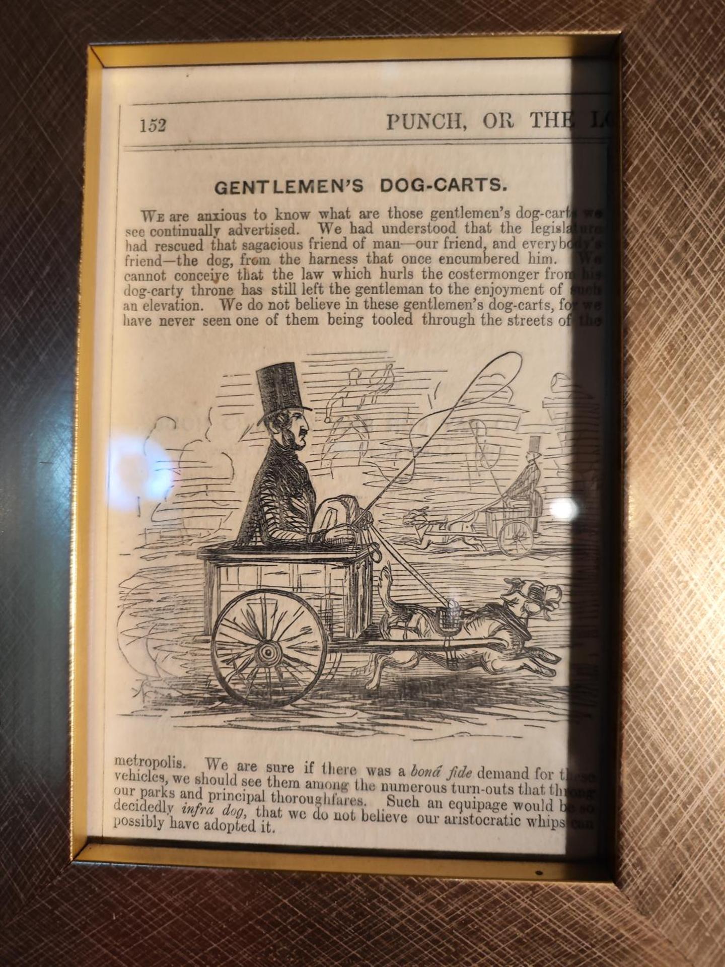 Wizards Thatch Luxury Suites