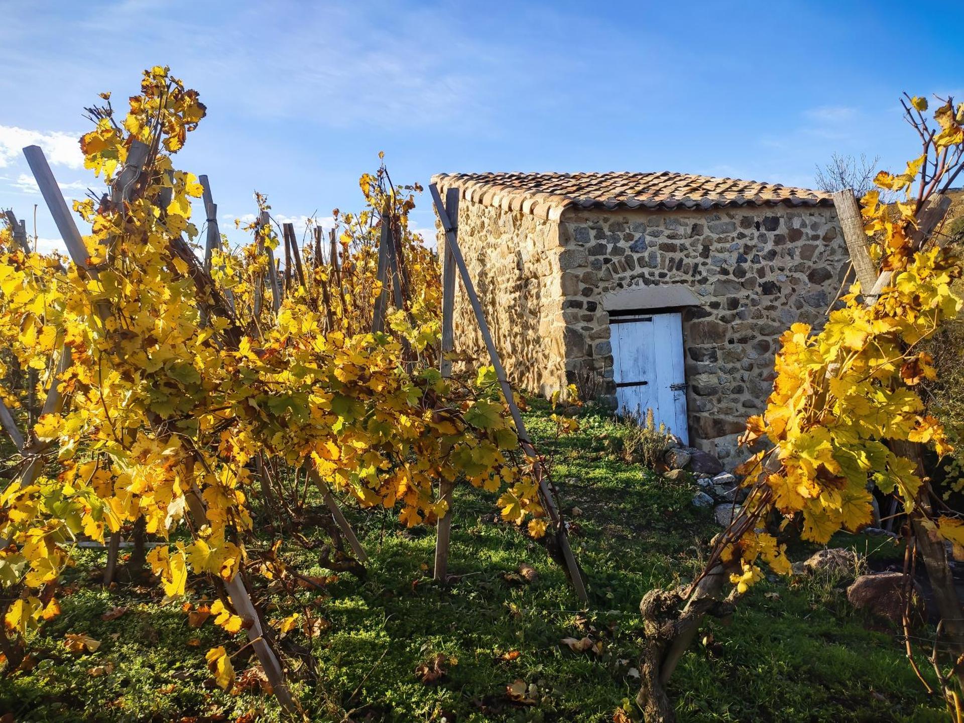 Condrieu et parking voiture vélo 2 ème étage