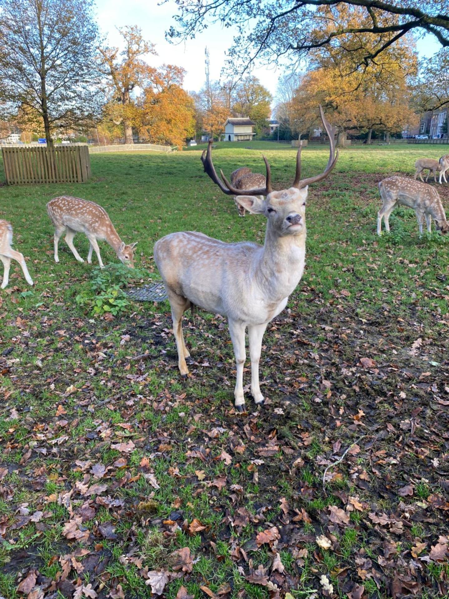 B&B Stoet & Berre Geheel privé 1 - 4 pers