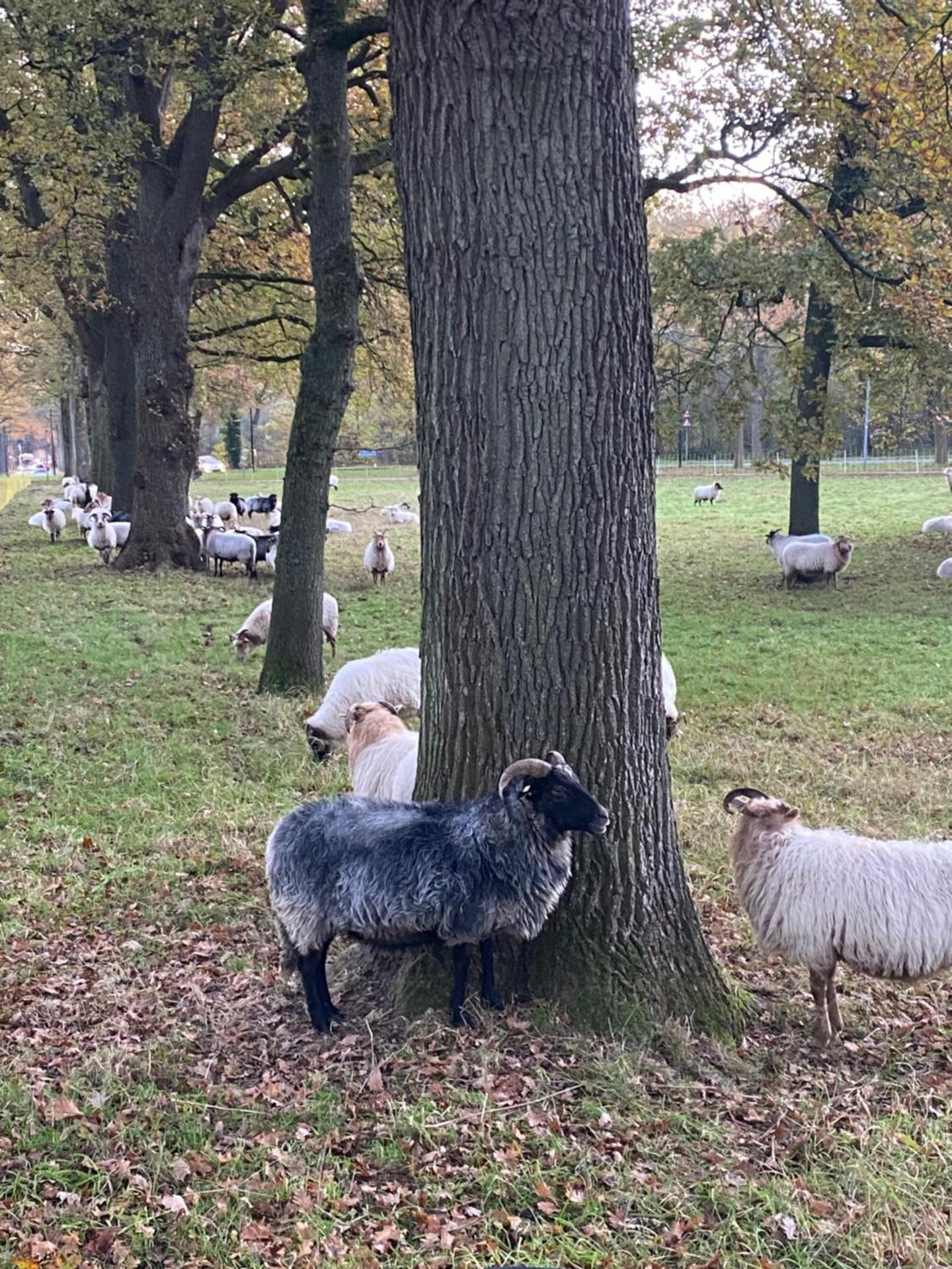 B&B Stoet & Berre Geheel privé 1 - 4 pers