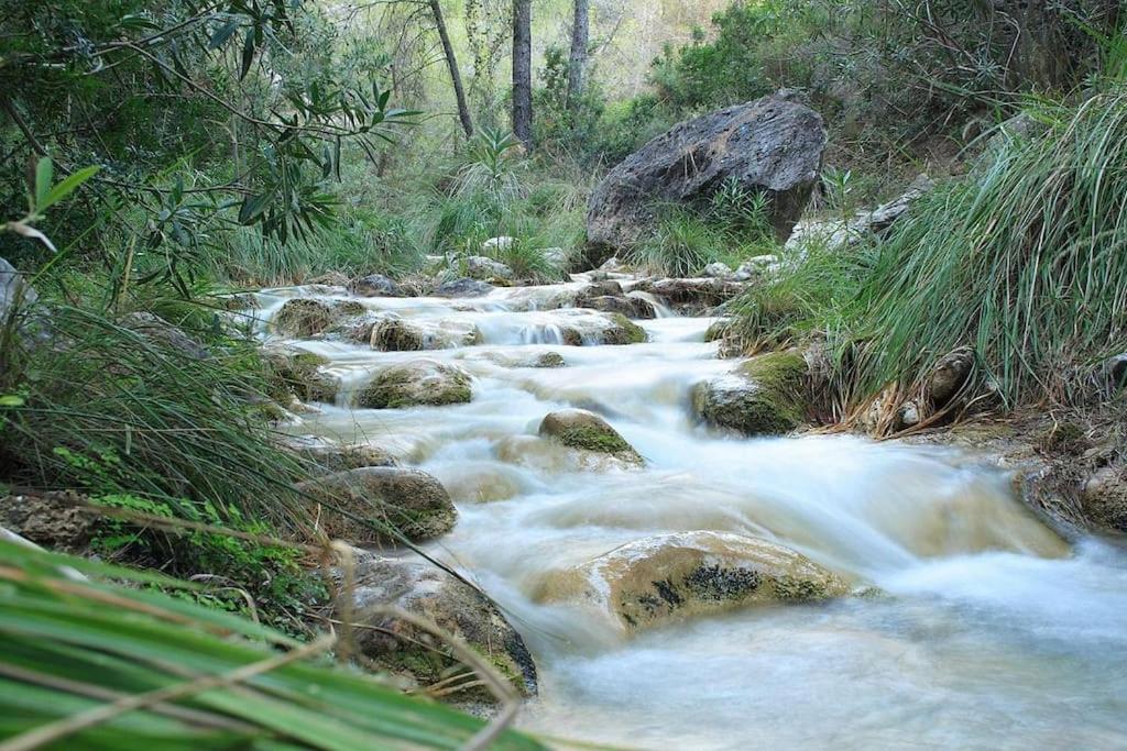 LA CASITA DE FERNANDO