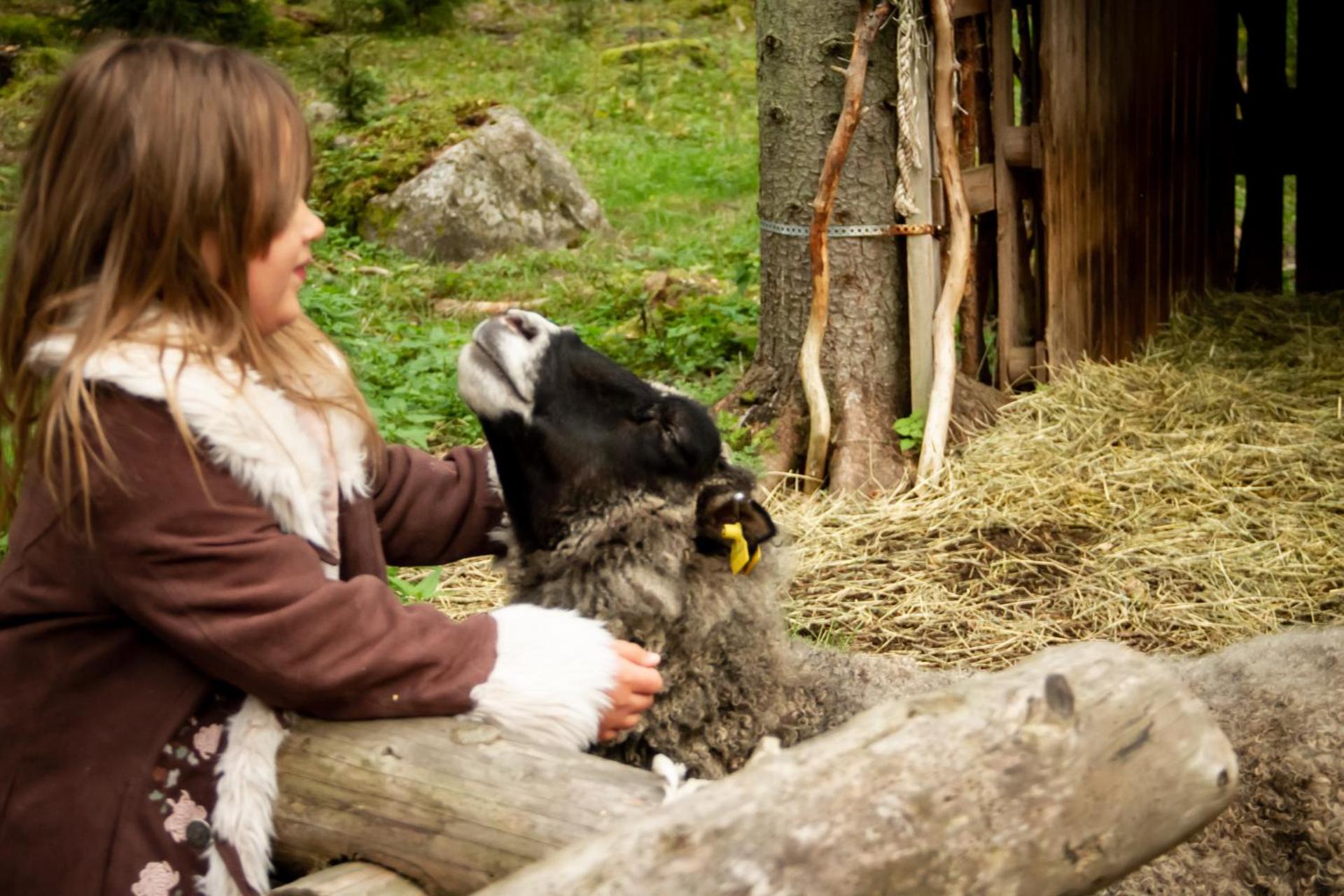 Accommodation and Fishing Vonkale