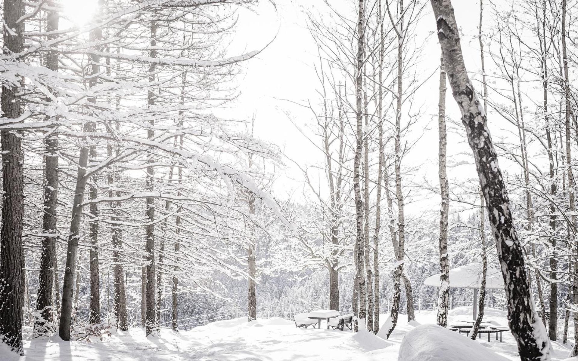 Galerie-Ferienwohnung "Im Schindlershof" - zentral und ruhig