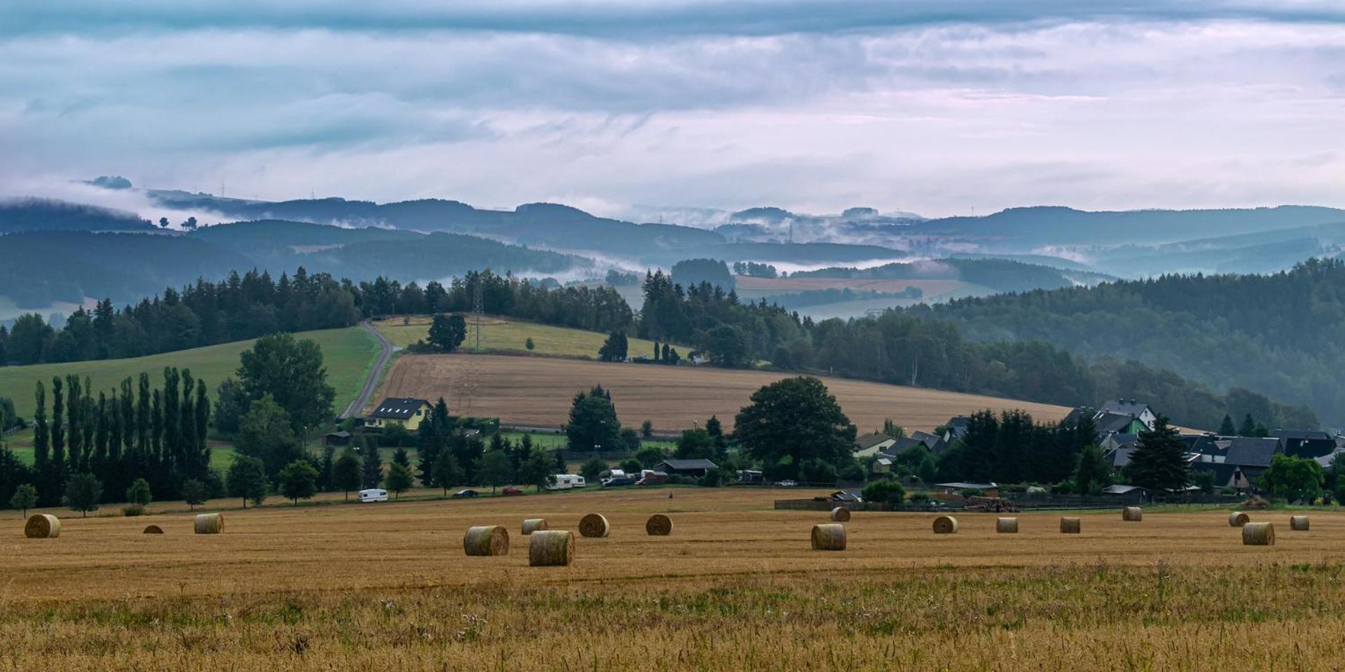 Galerie-Ferienwohnung "Im Schindlershof" - zentral und ruhig