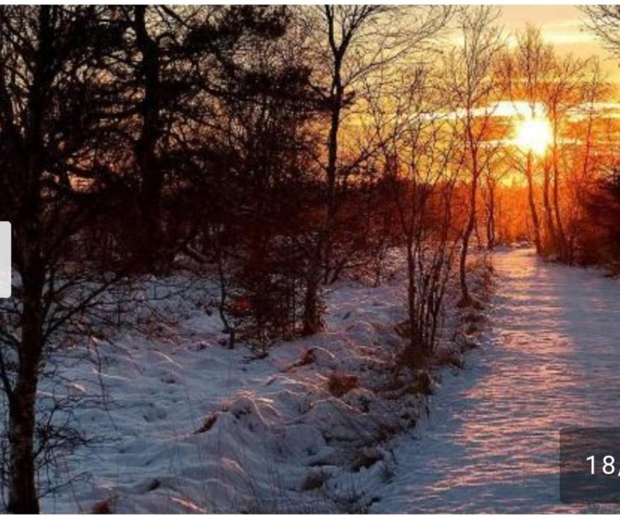 Terrasses de Malmedy Lodge 417