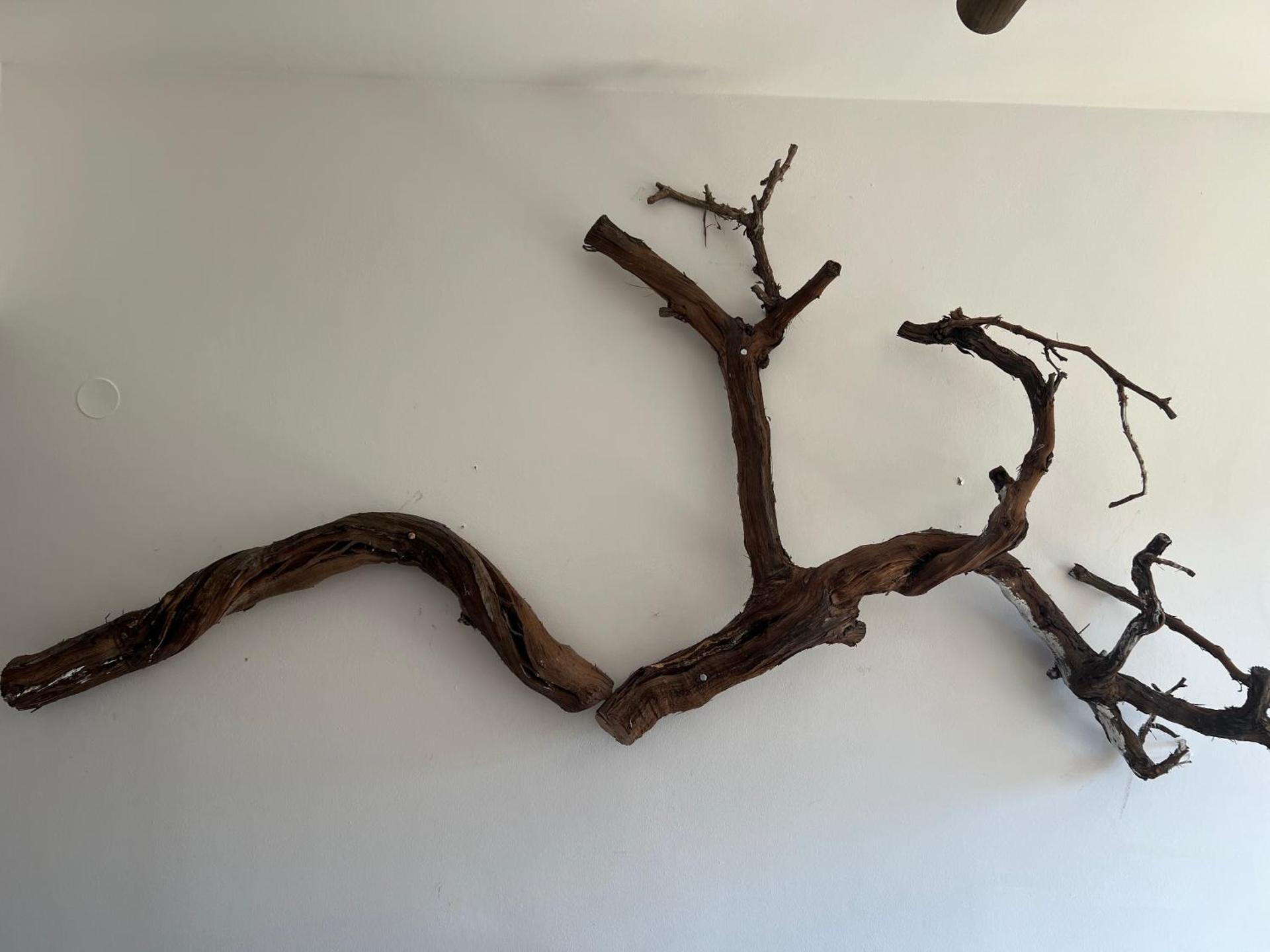 ALONI G&A Archaggelos